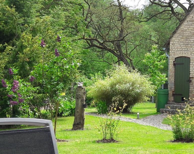 Gutshaus Zietlitz Hotel Dobbin-Linstow Buitenkant foto