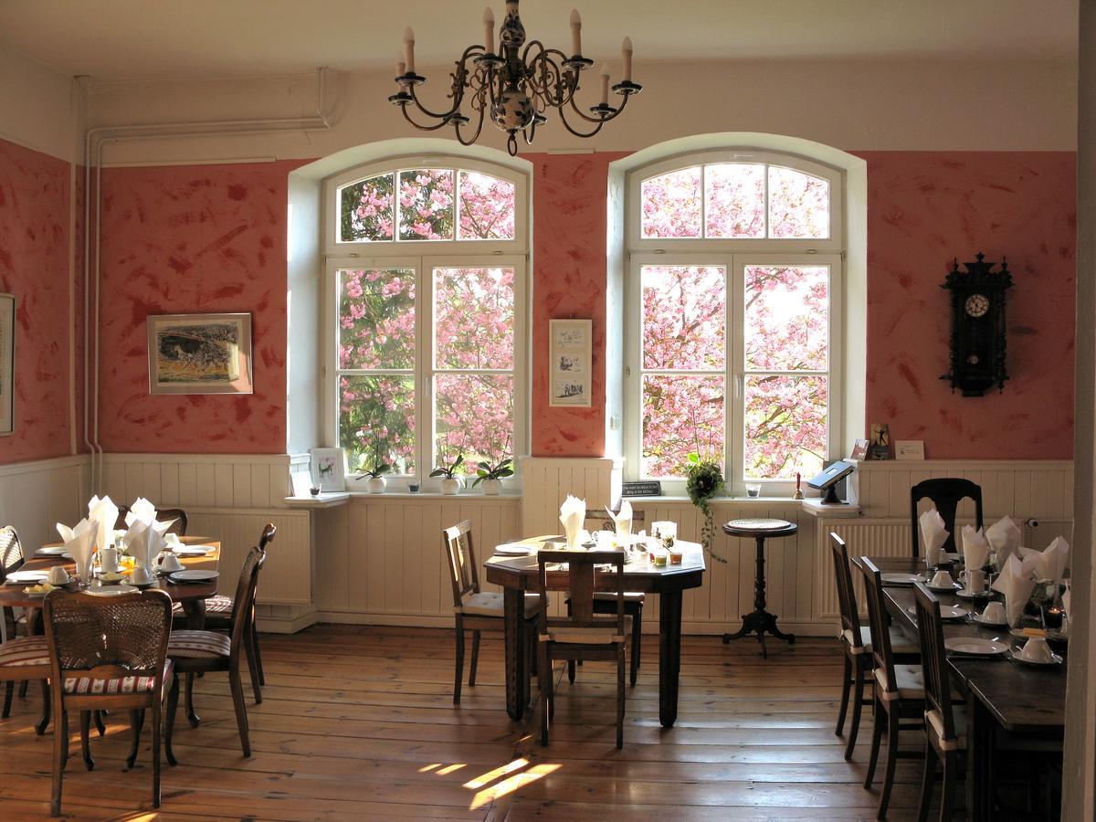 Gutshaus Zietlitz Hotel Dobbin-Linstow Buitenkant foto